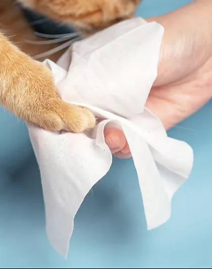 Pet Wipes